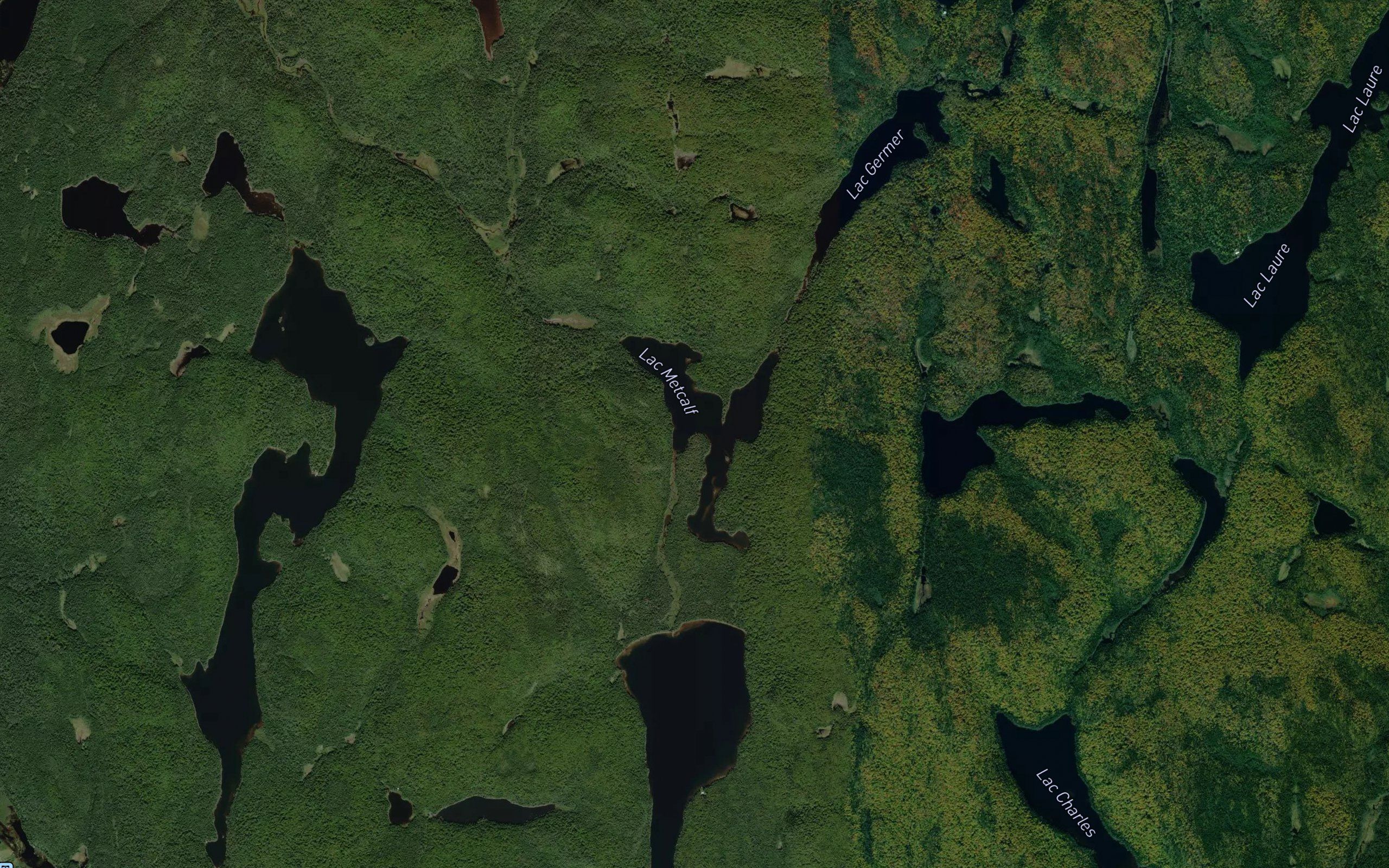 Lac Metcalf