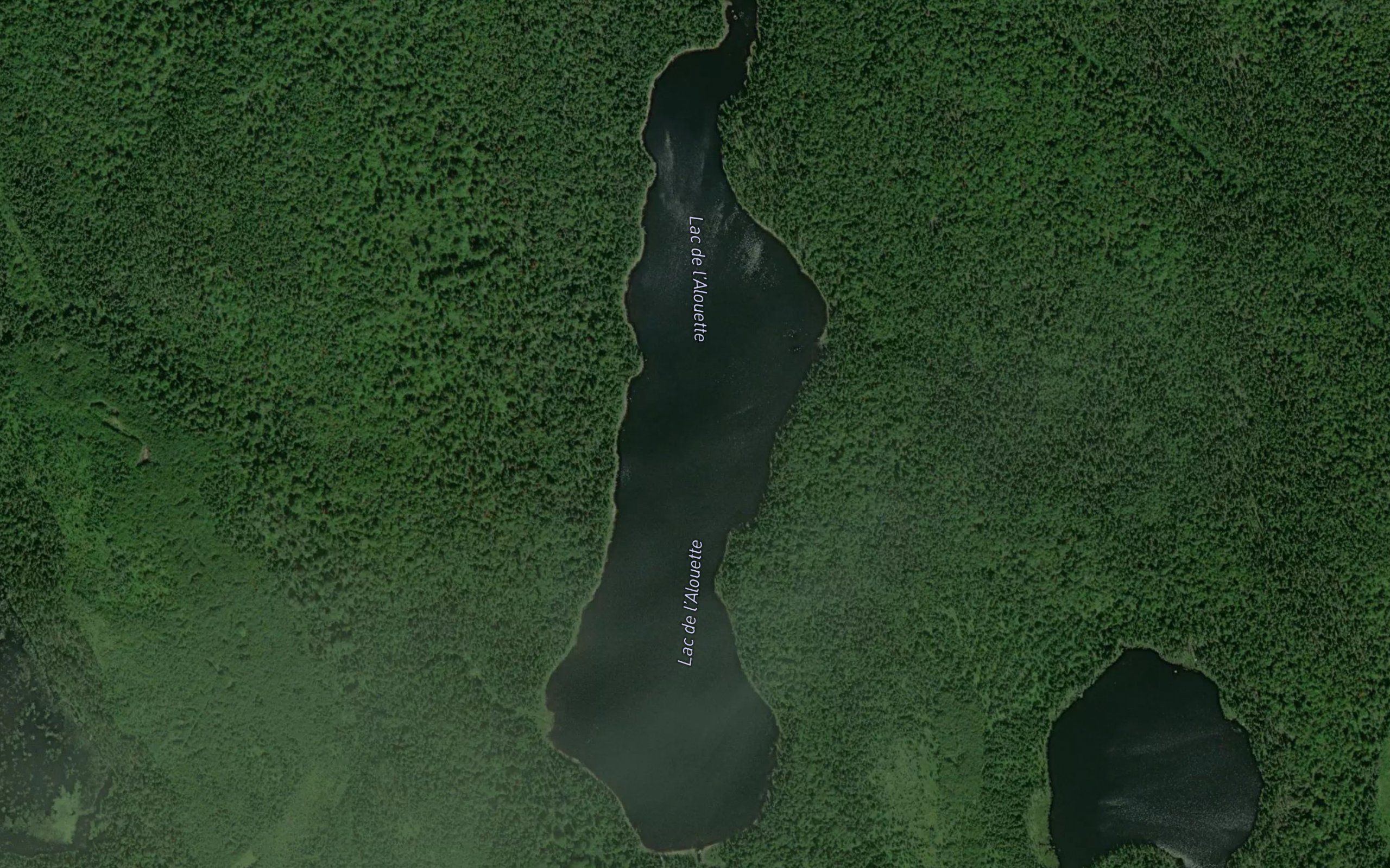 Lac de l'Alouette