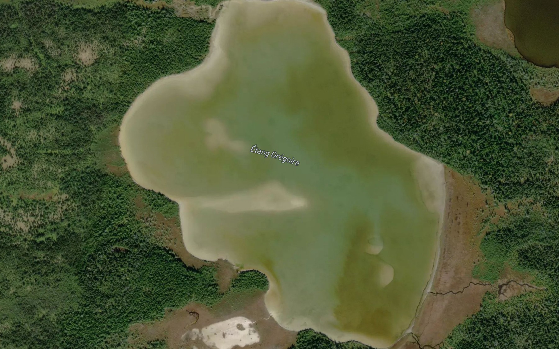 Satellite map of the Etang Gregoire