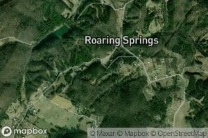 Roaring Spring