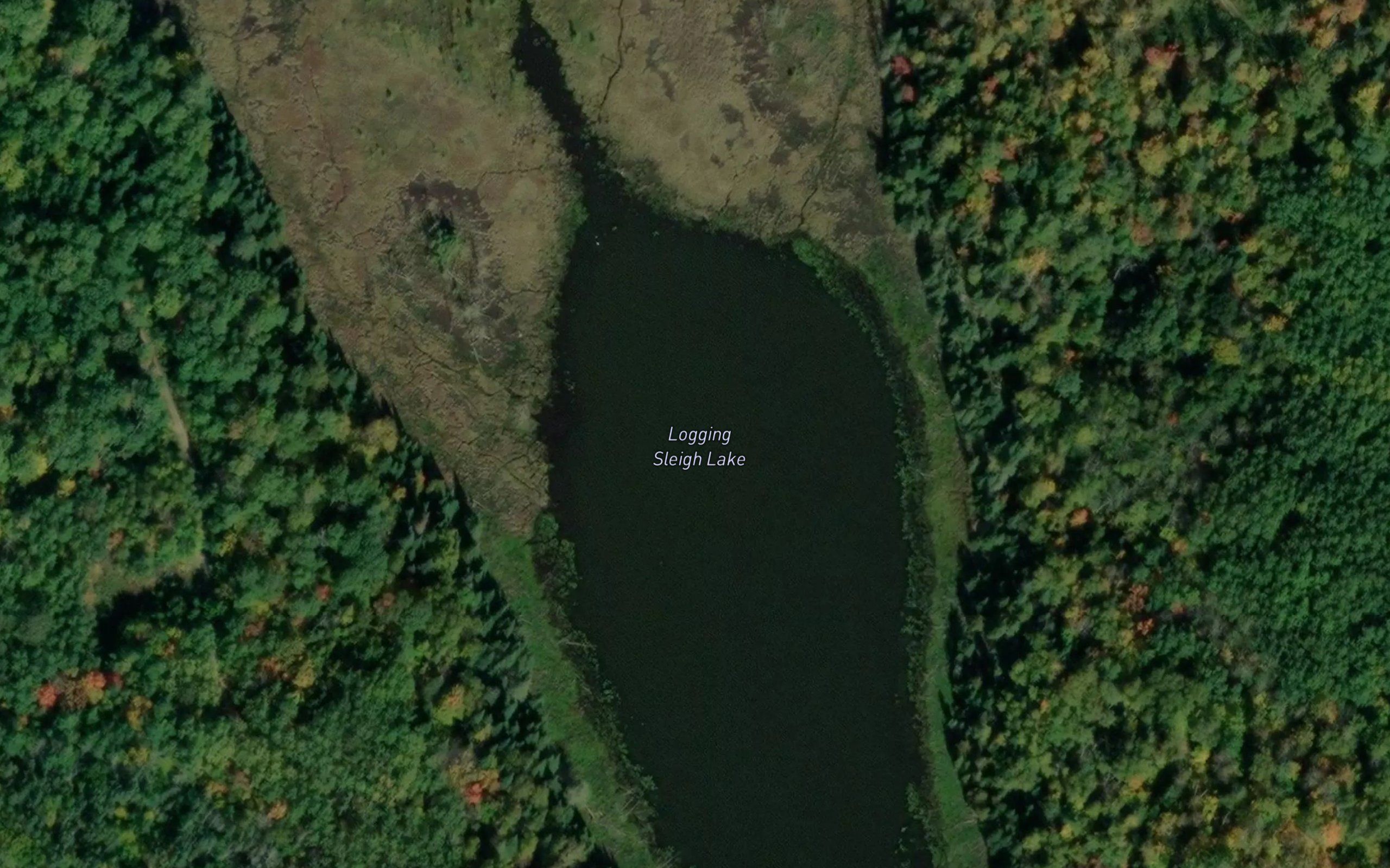 Logging Sleigh Lake