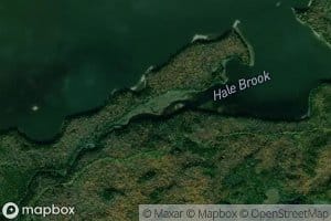 Hale Brook