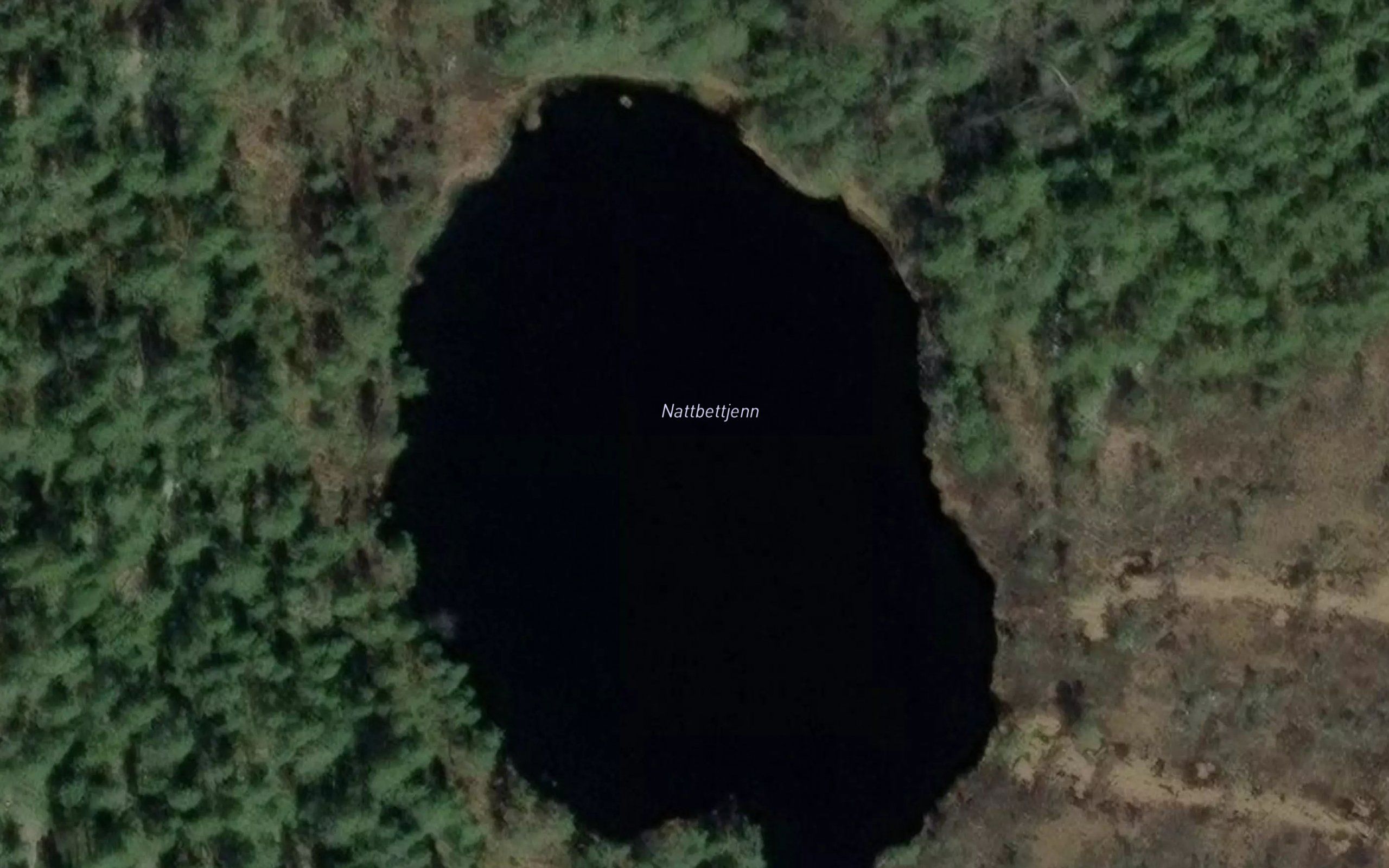 Nattbettjern