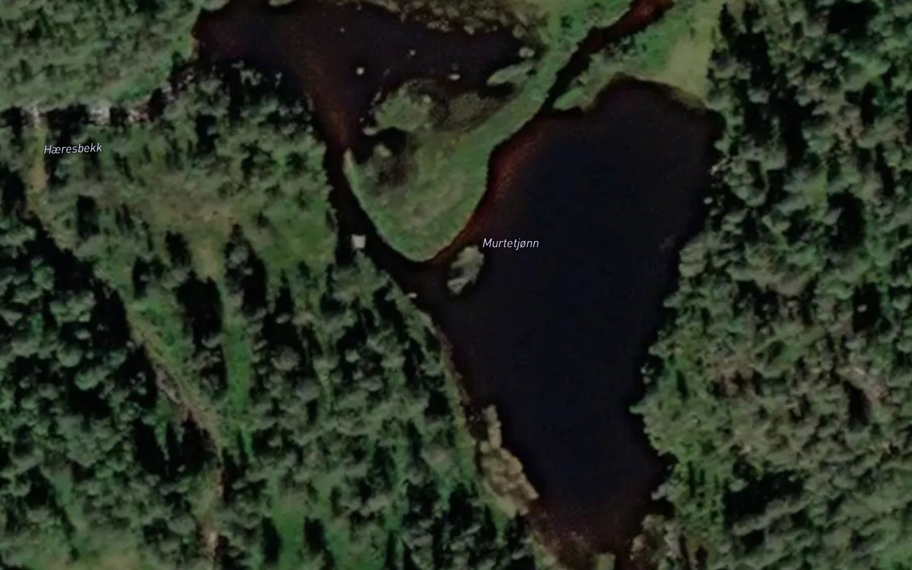 Satellite map of the Murtetjorni