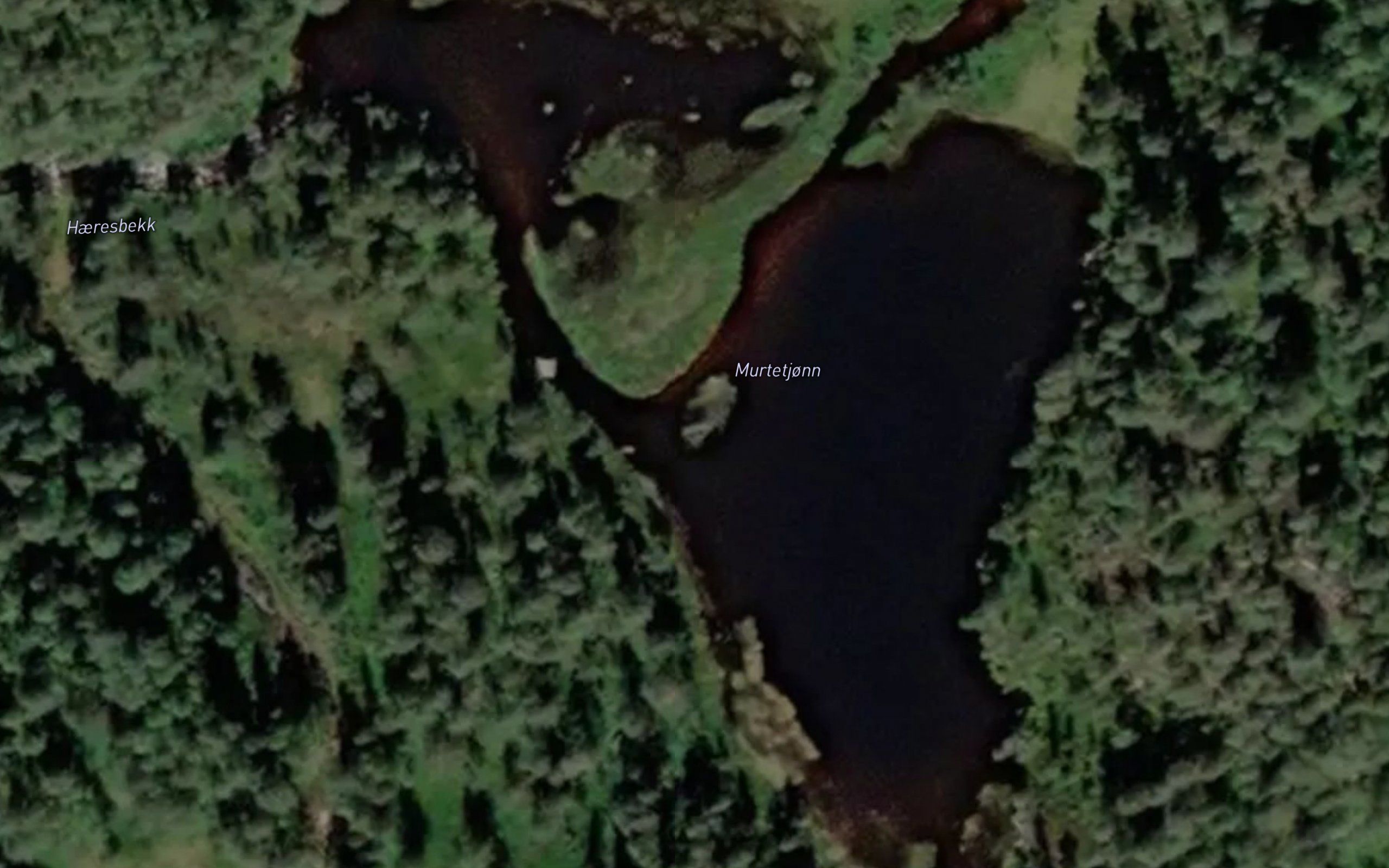 Murtetjorni