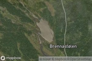 Tjernet