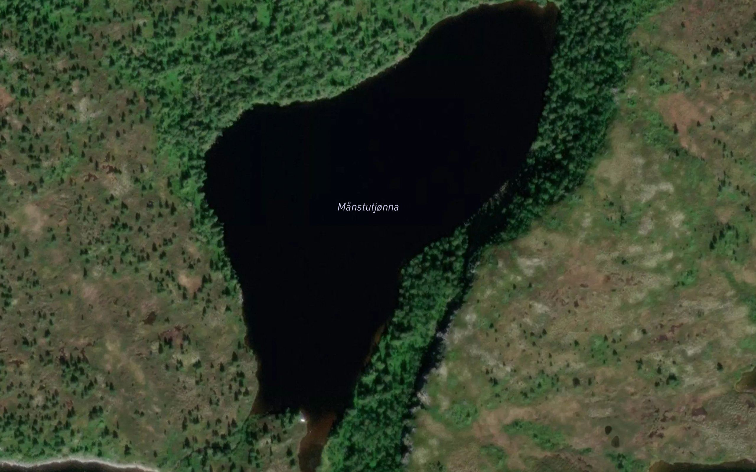 Manstutjorna
