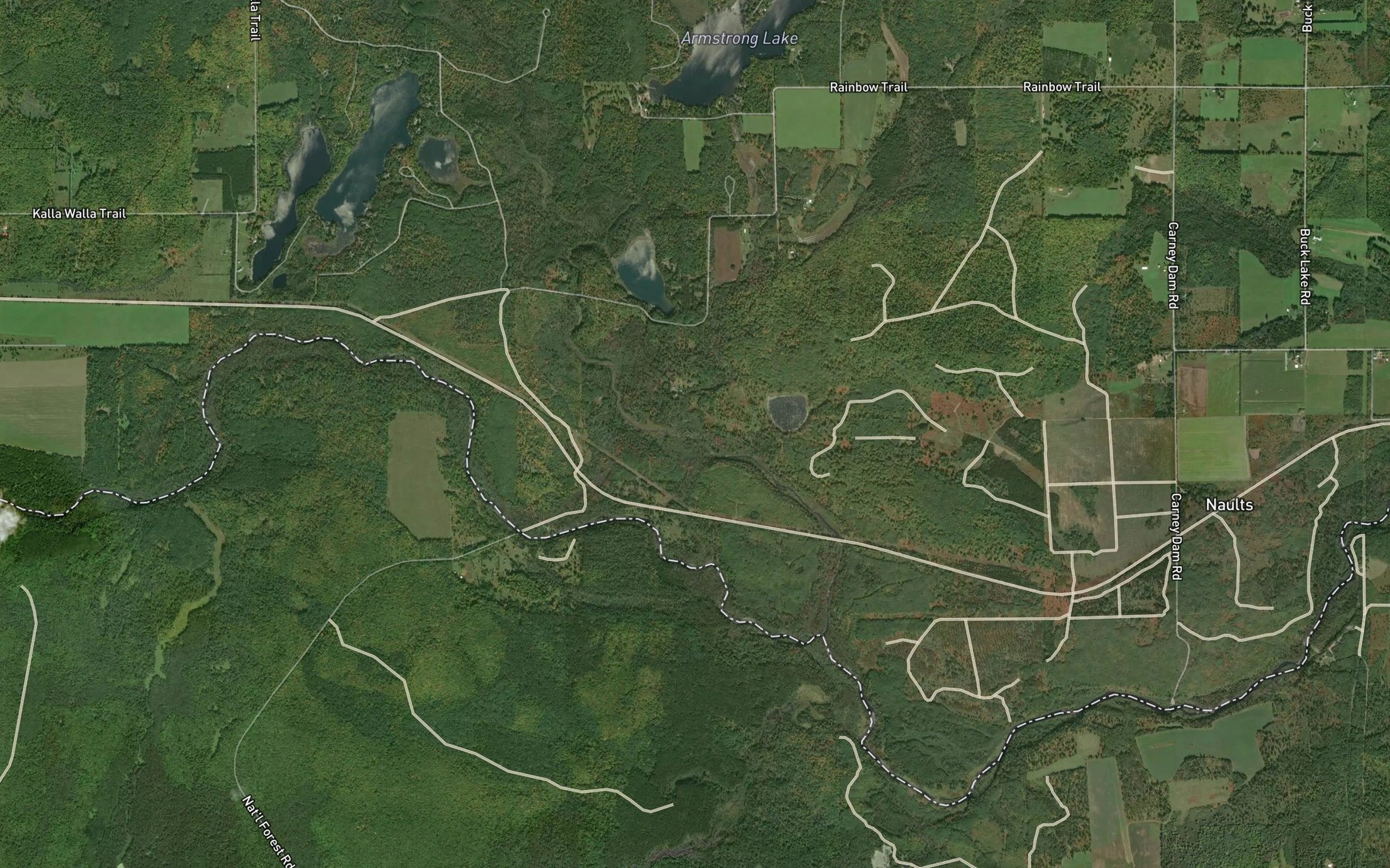 Satellite map of the East Branch Armstrong Creek
