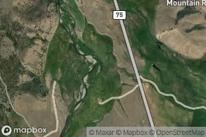 Williams Creek