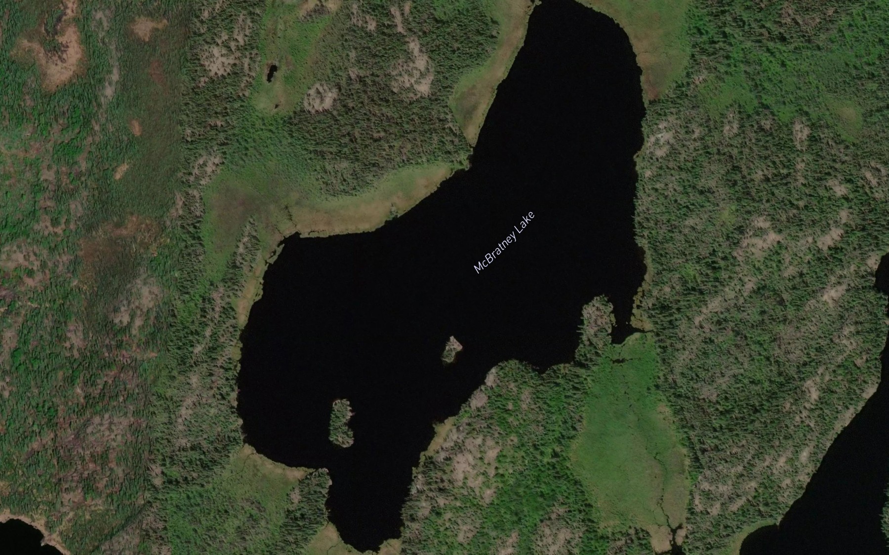 Satellite map of the McBratney Lake