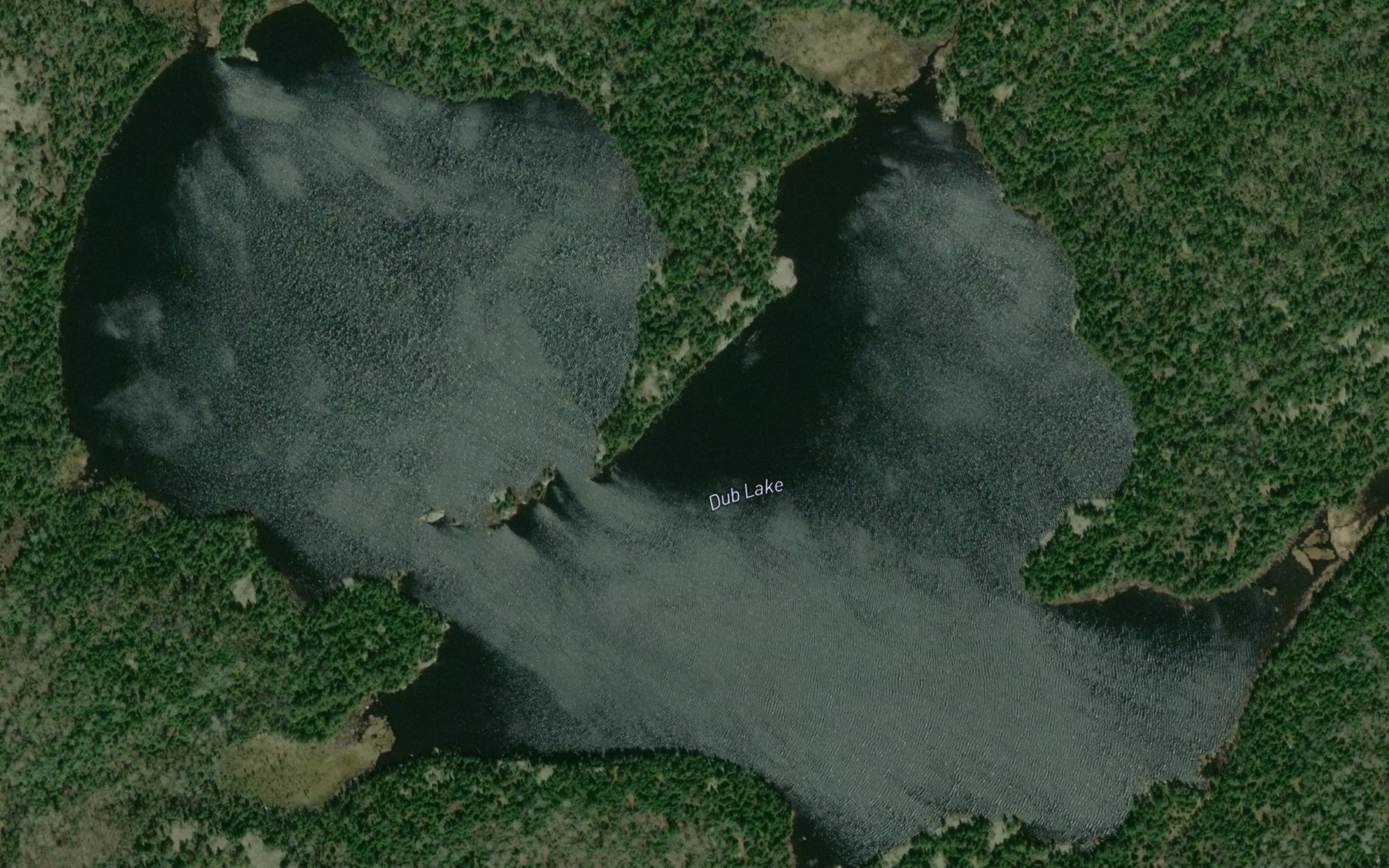 Satellite map of the Dub Lake