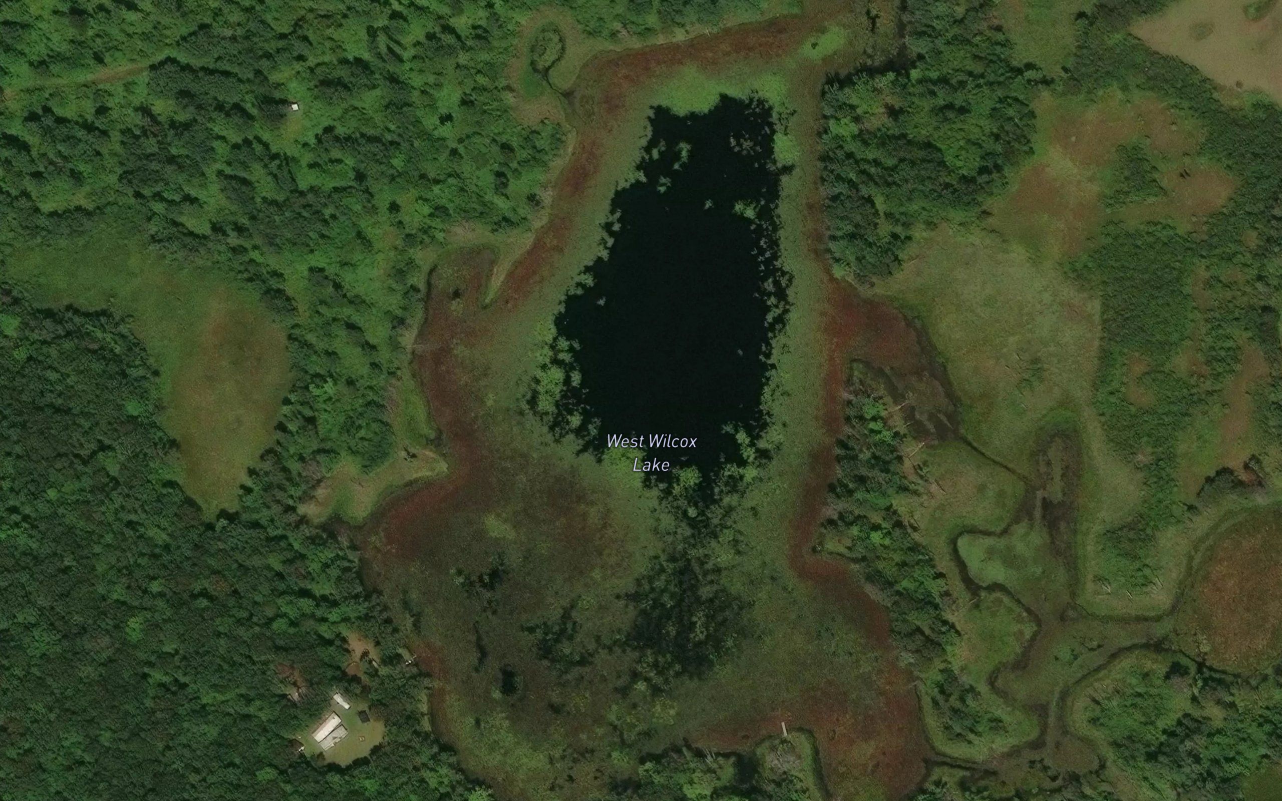 West Wilcox Lake