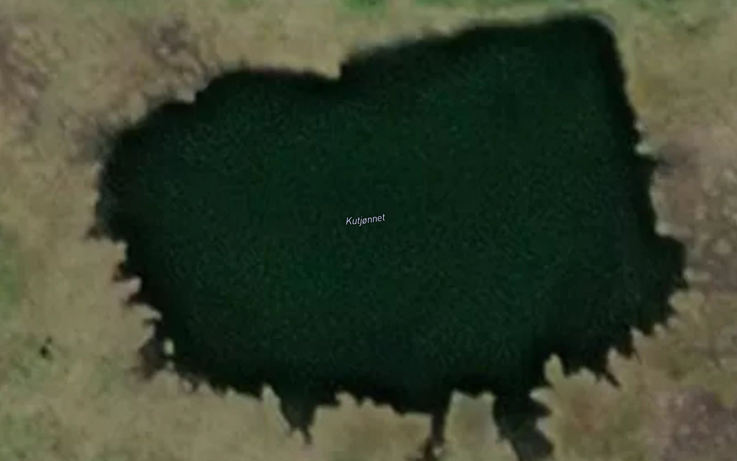 Kutjonnet