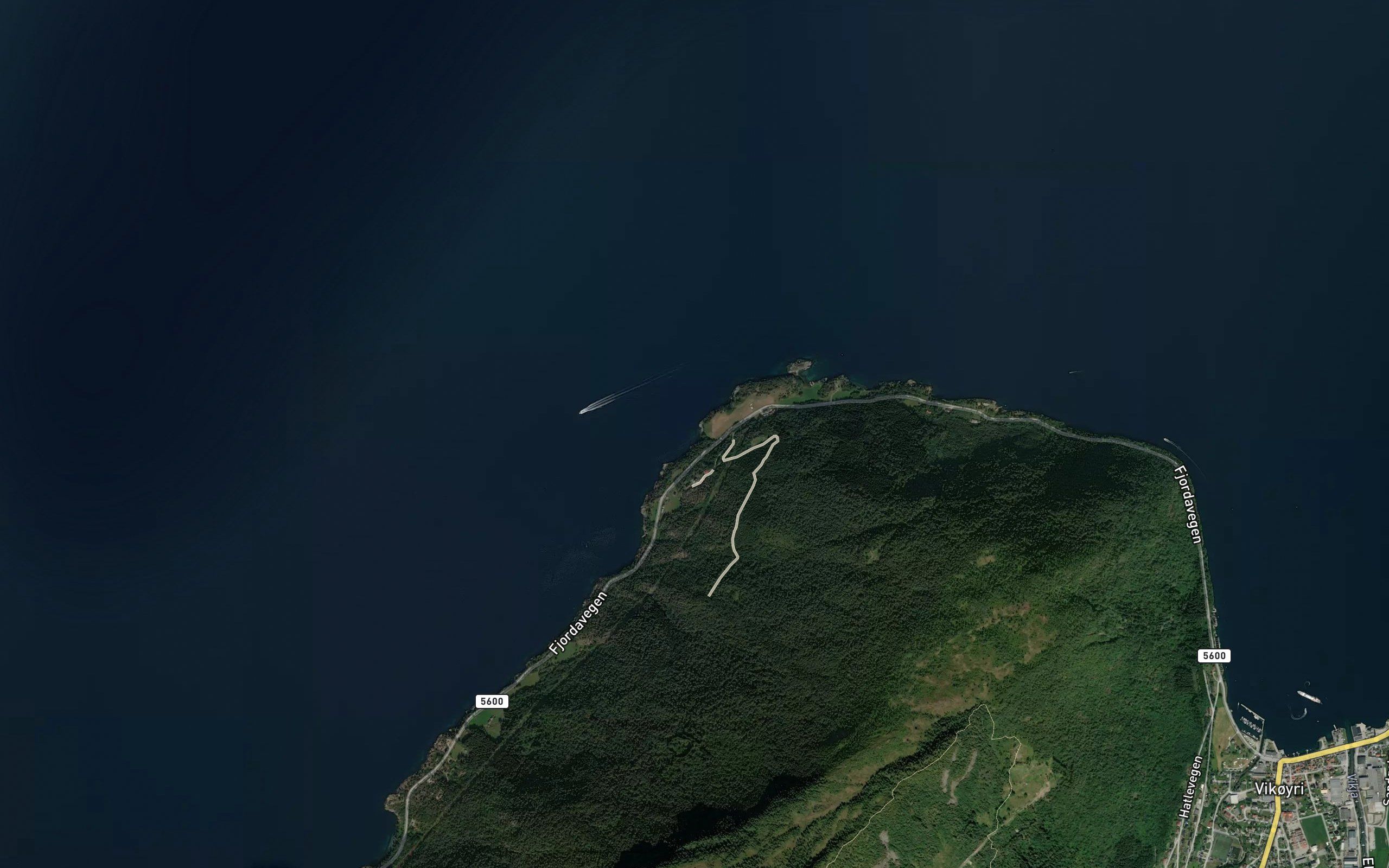 Kolaviki