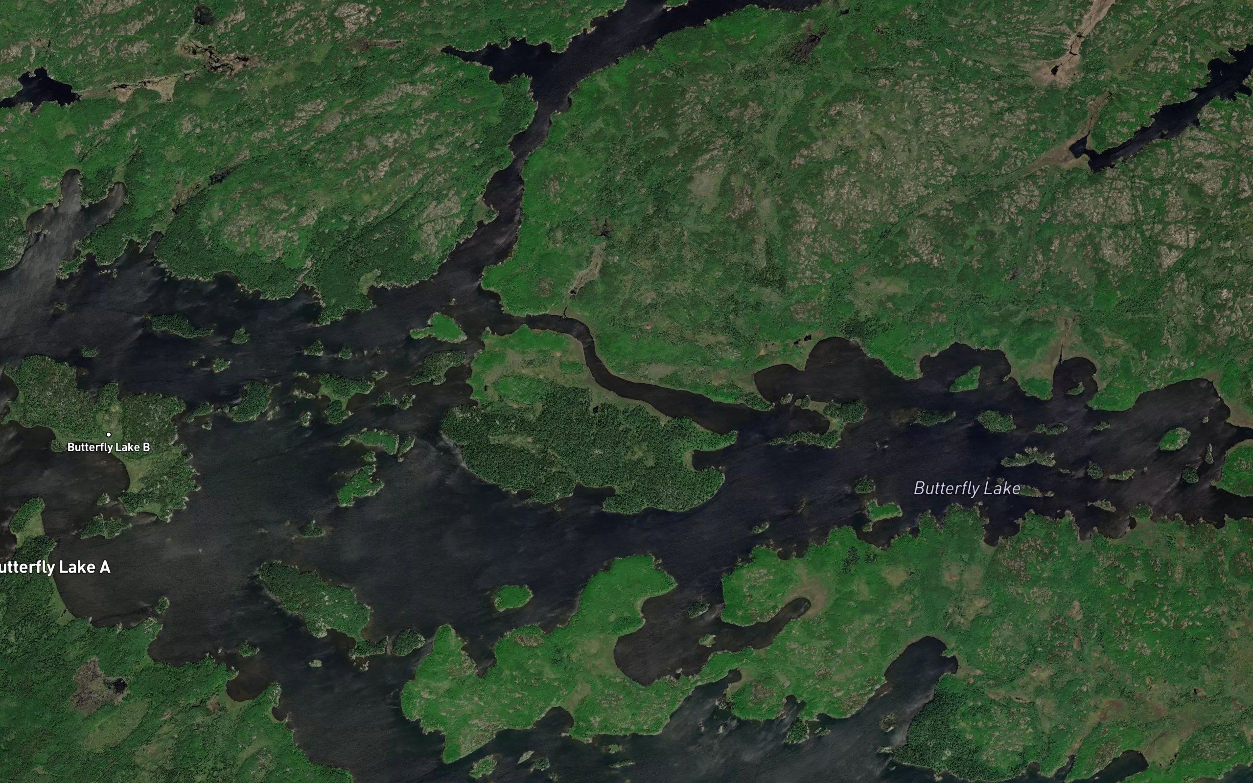 Campbell Narrows