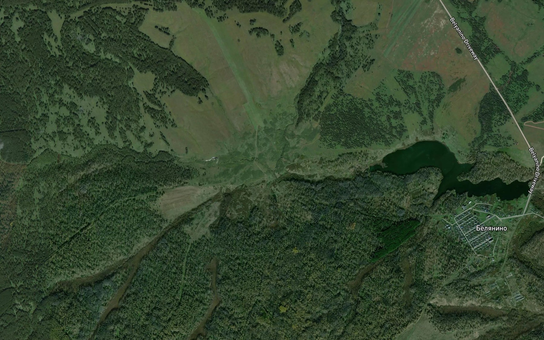 Satellite map of the Vas'kina