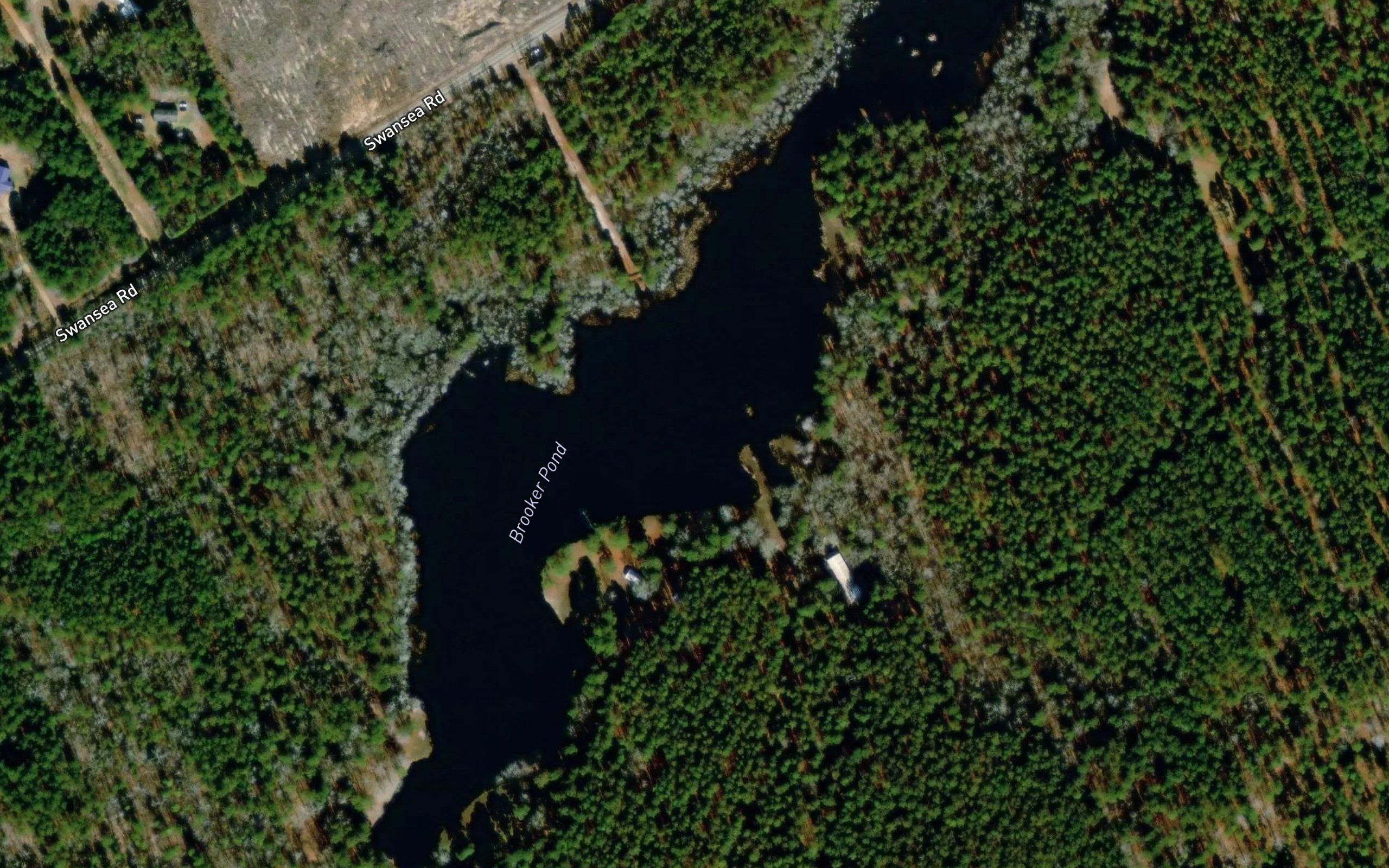 Brooker Pond