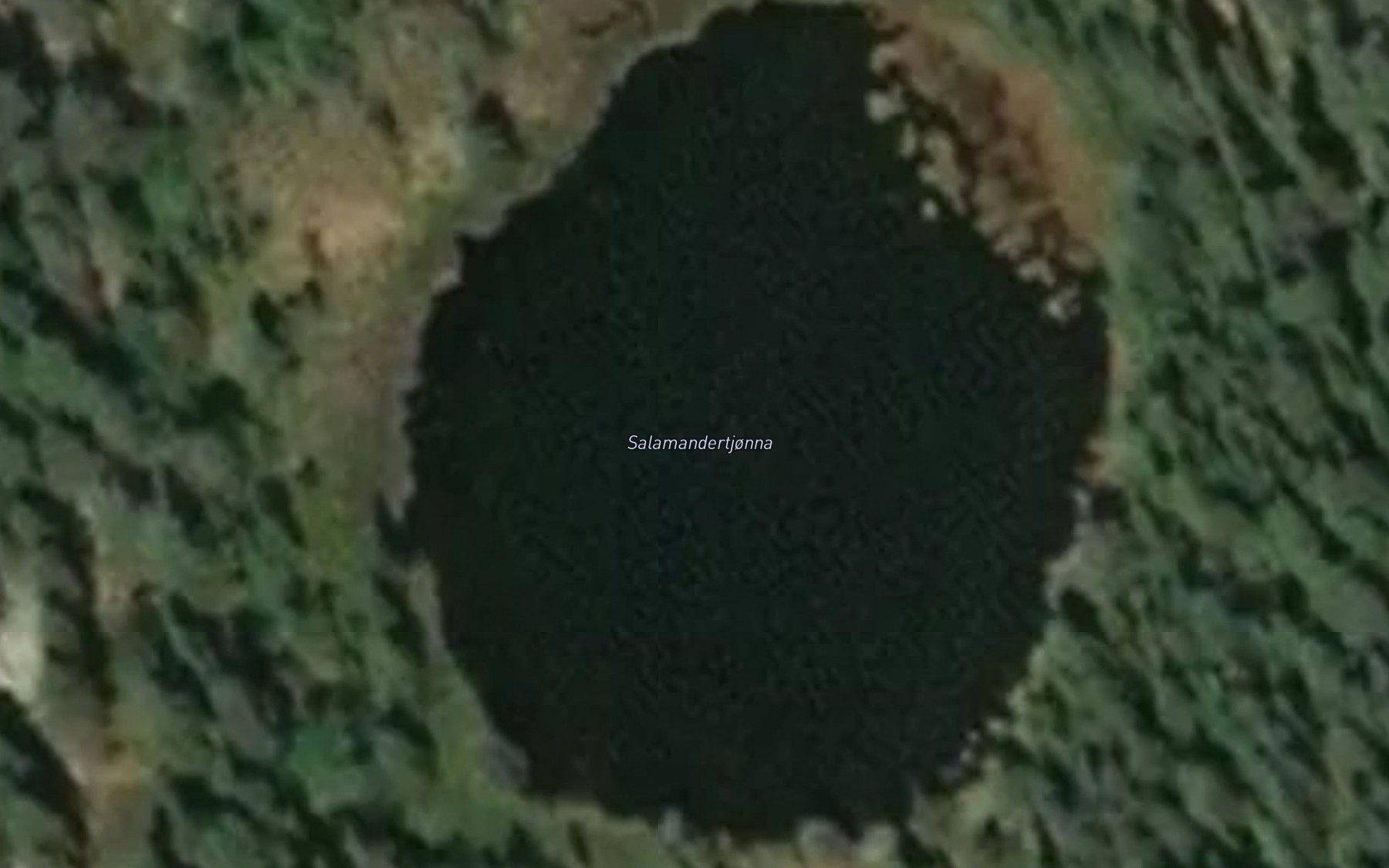 Satellite map of the Salamandertjonna