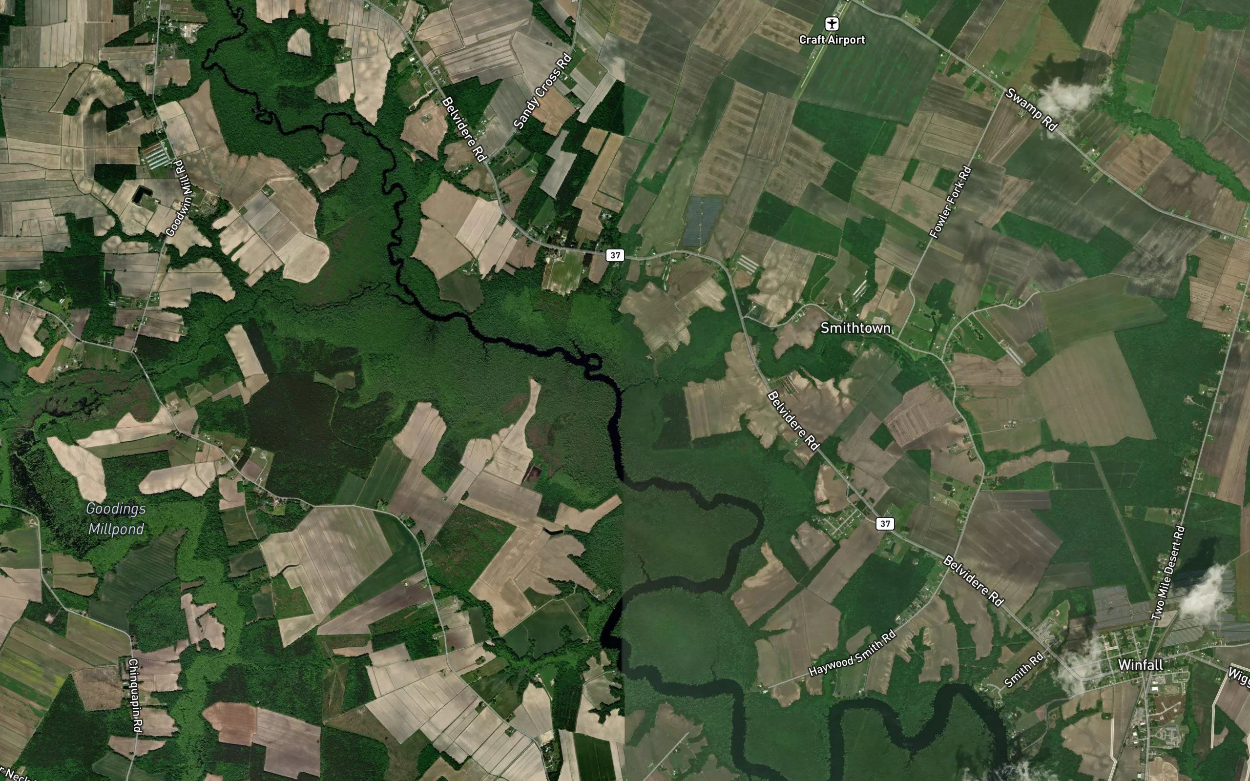 Bagley Swamp