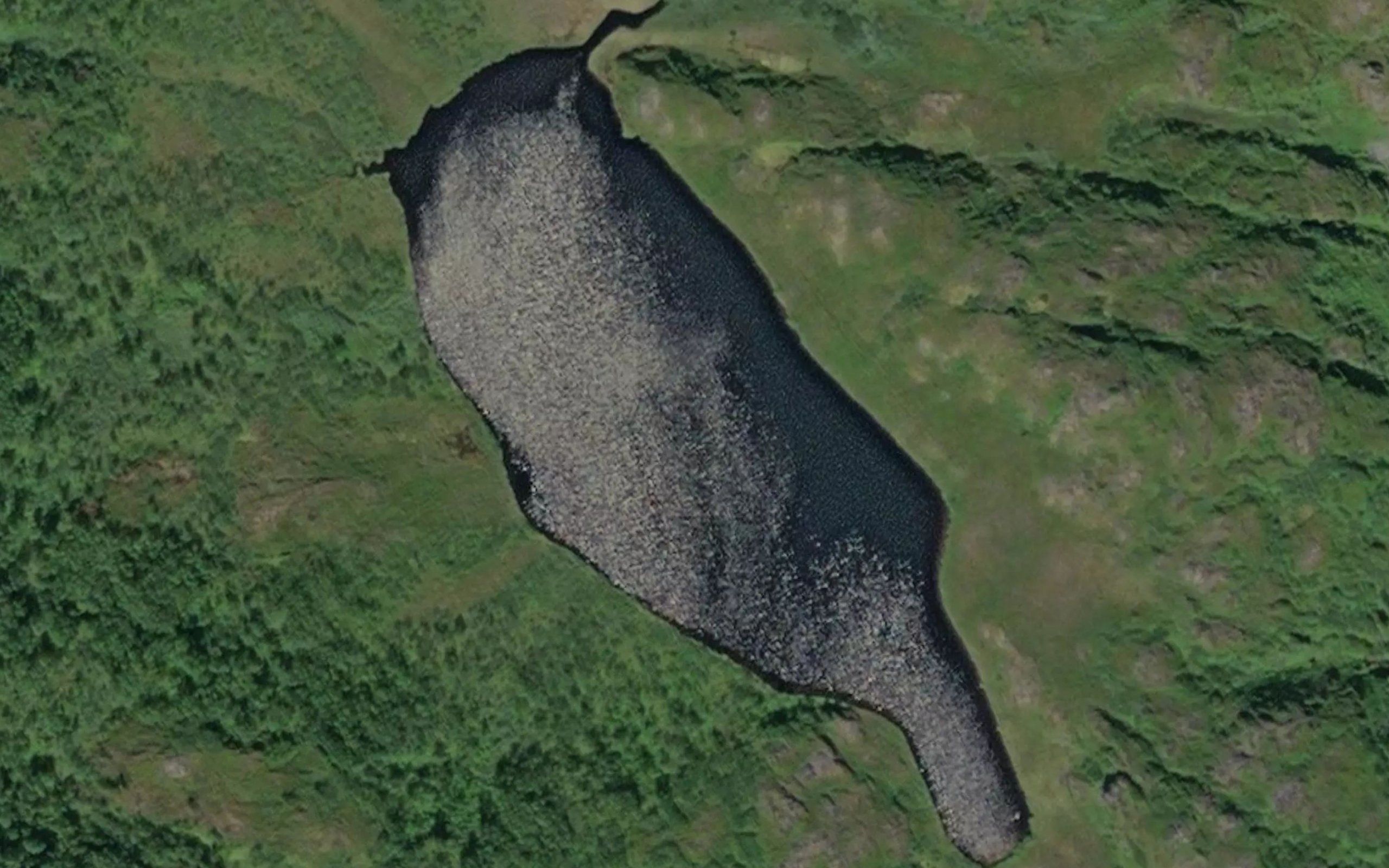 Kvinnenesvatnet
