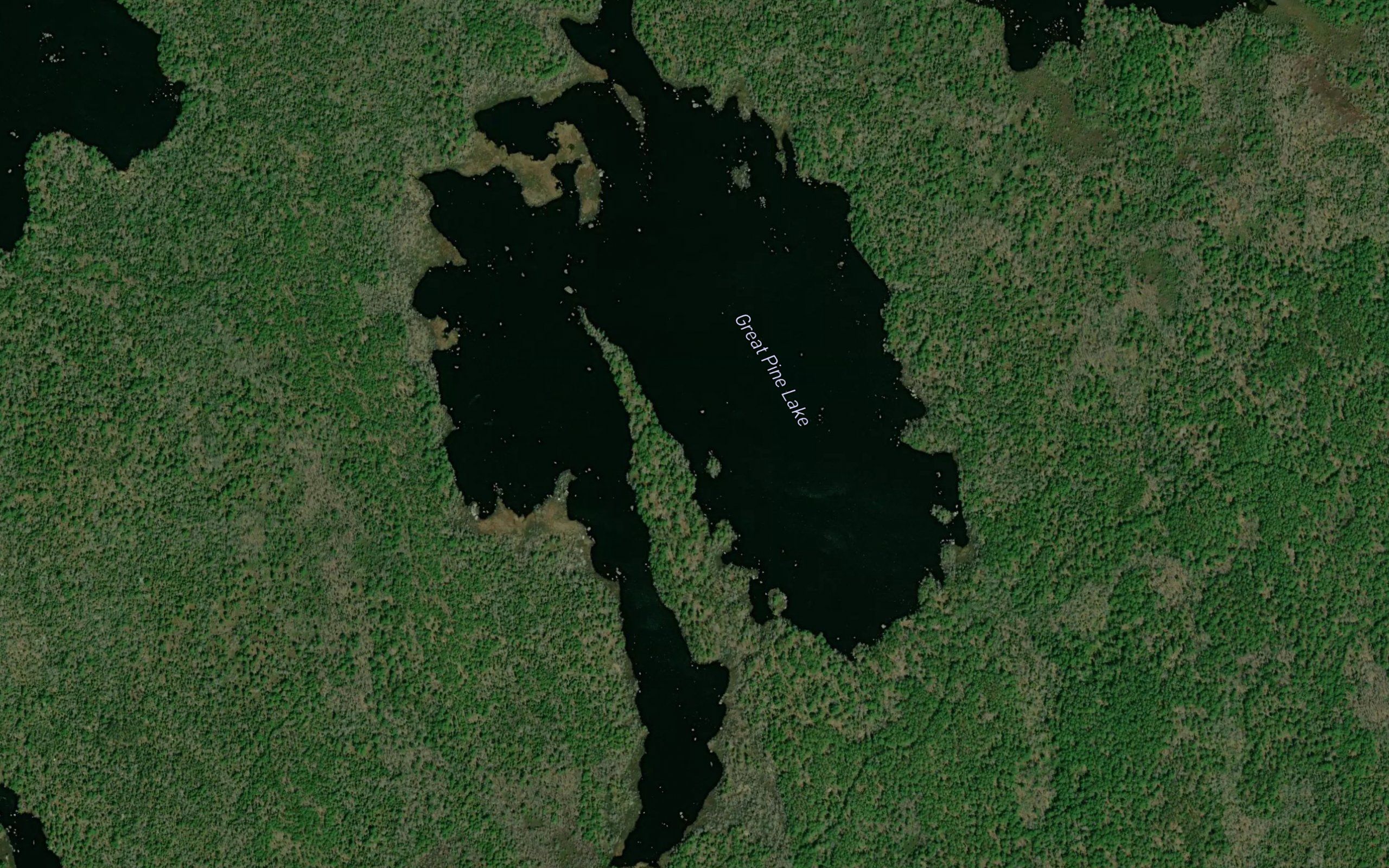 Great Pine Lake