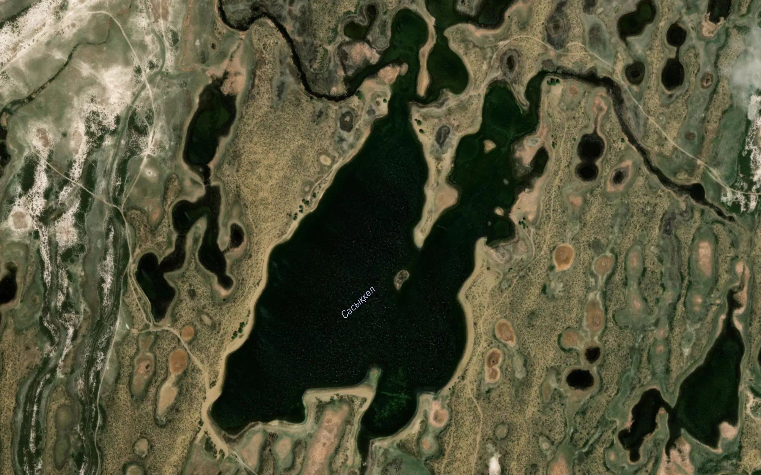 Ozero Sasykkol'
