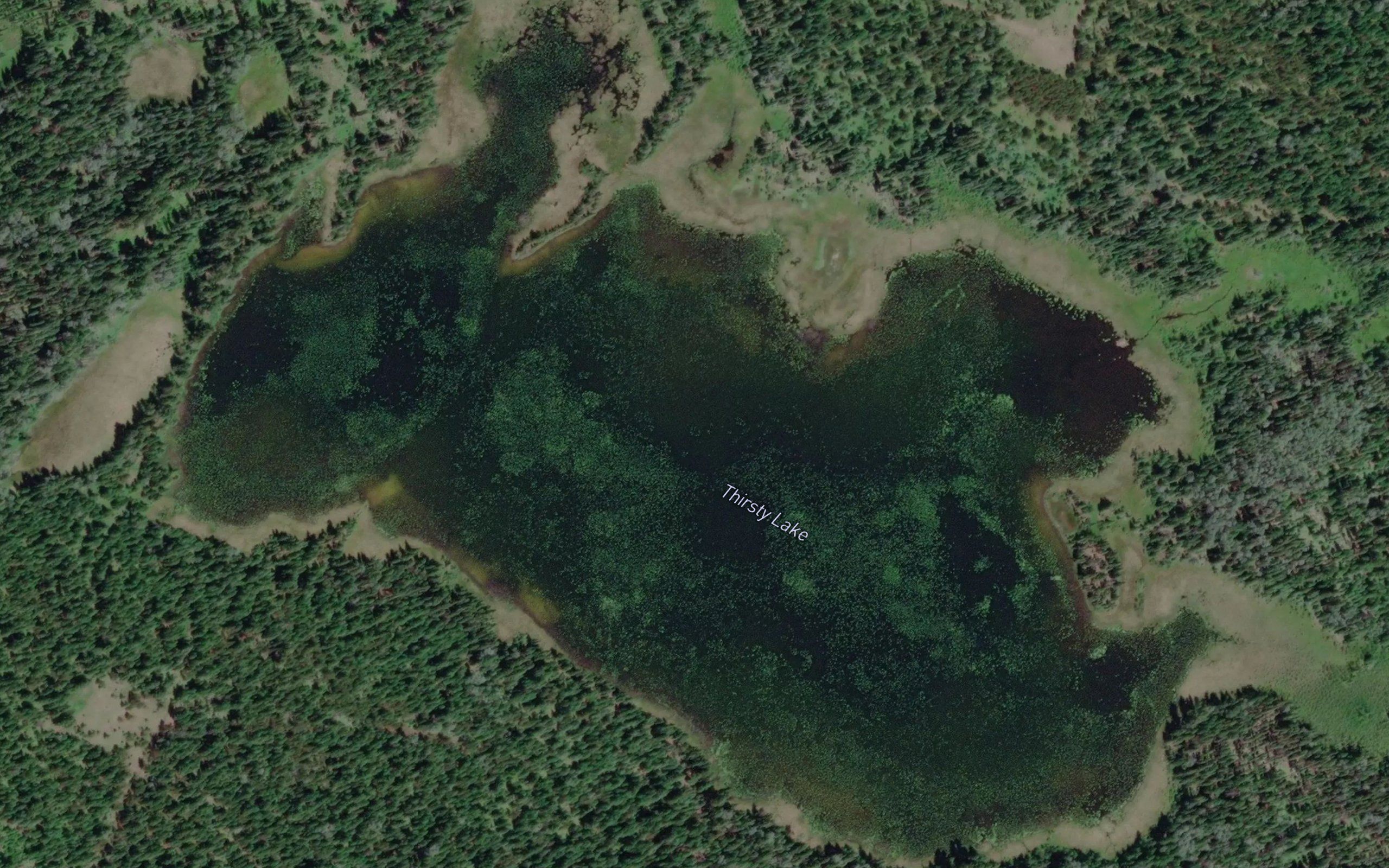 Thirsty Lake