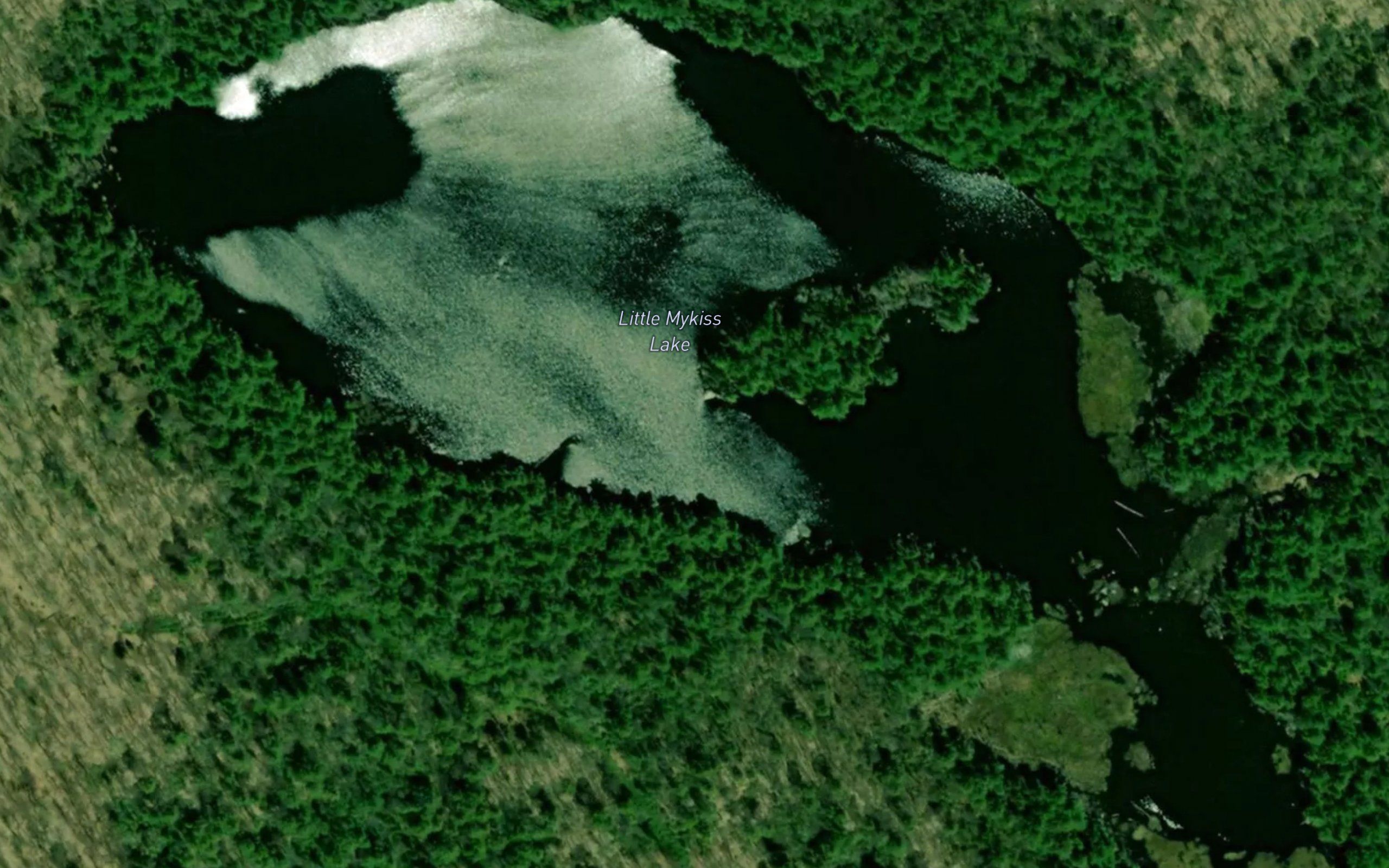 Little Mykiss Lake