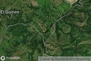 Rio Guineo