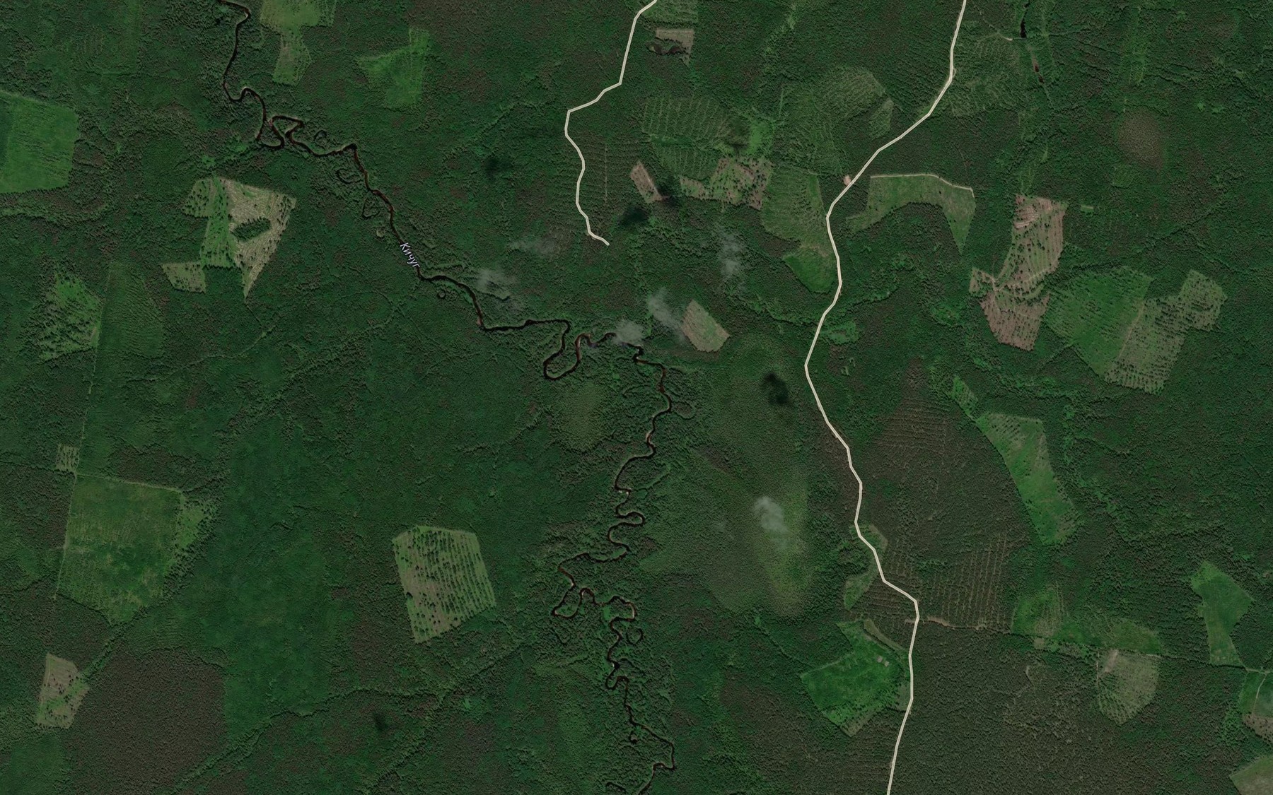 Satellite map of the Antyushchikha