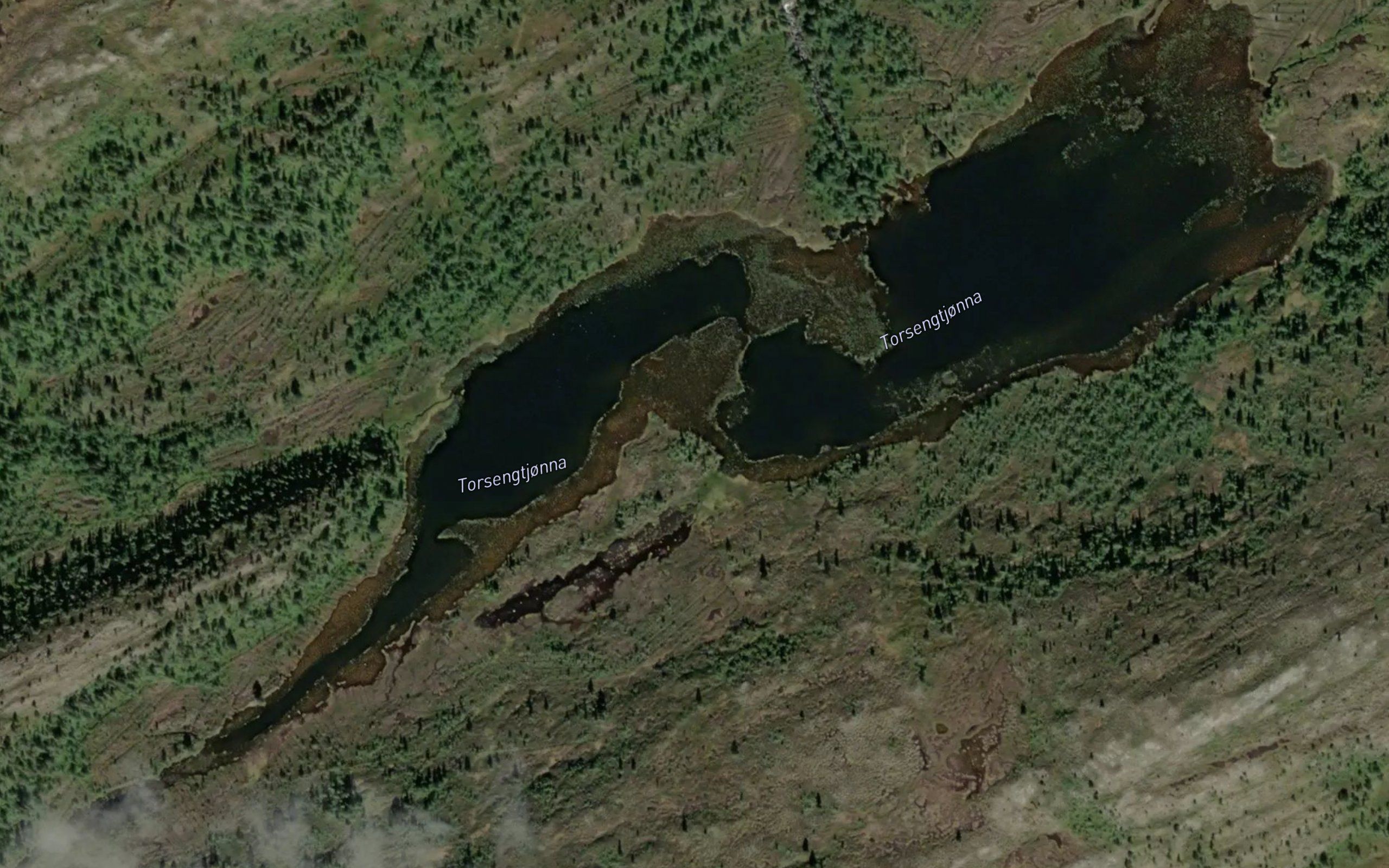 Torsengtjorna