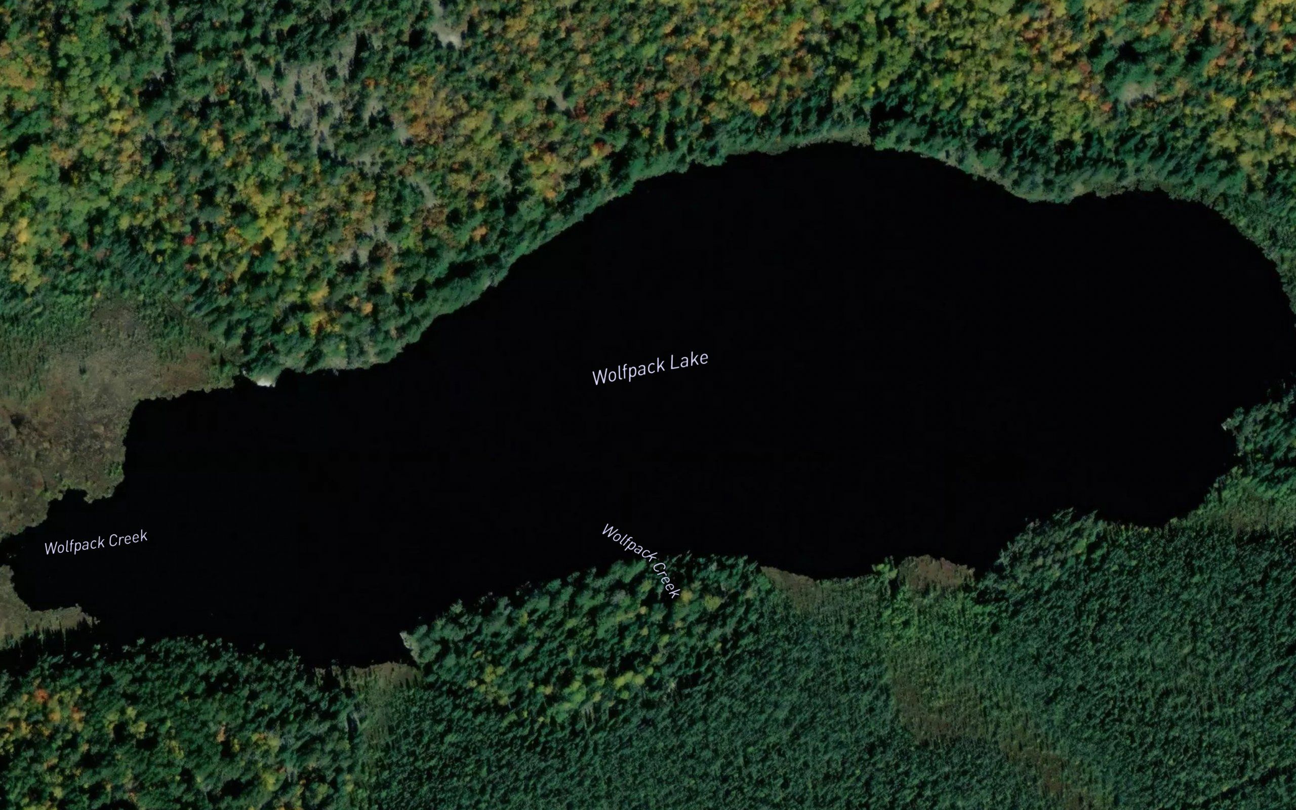 Wolfpack Lake