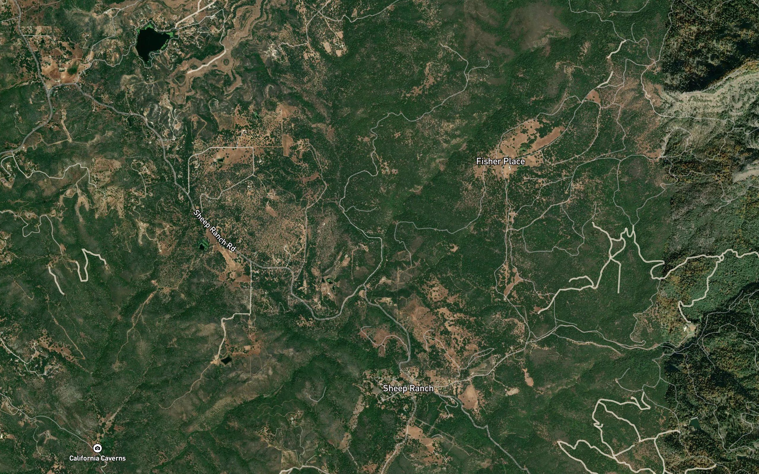 Bassella Creek