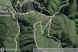 Huia Stream