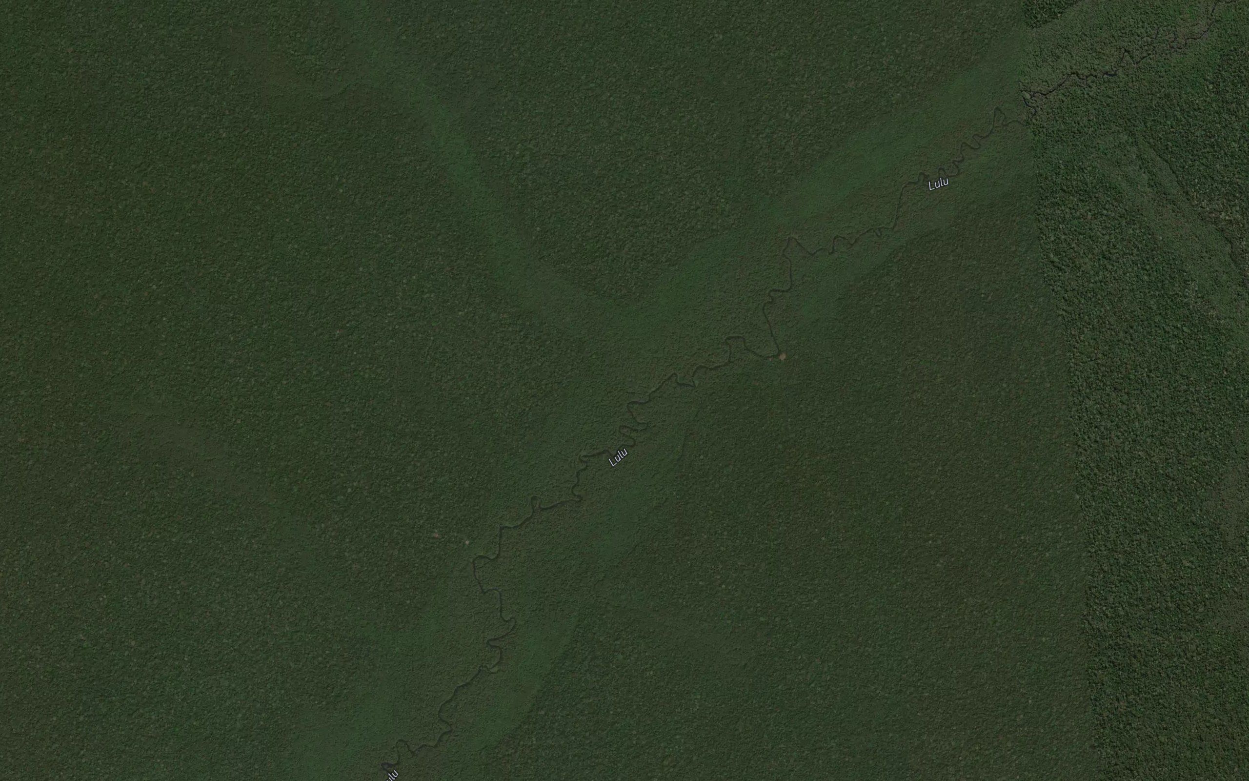 Loanoa