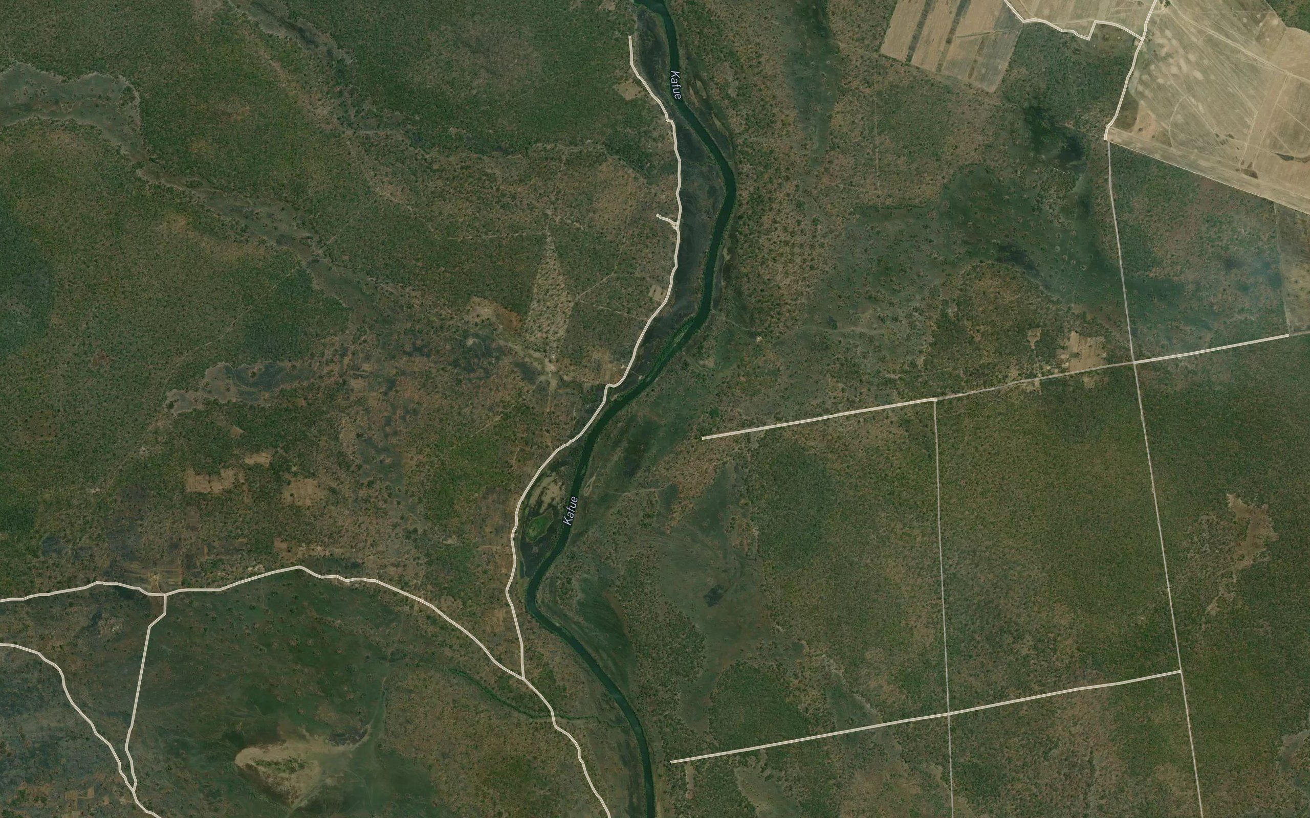 Chikolongo