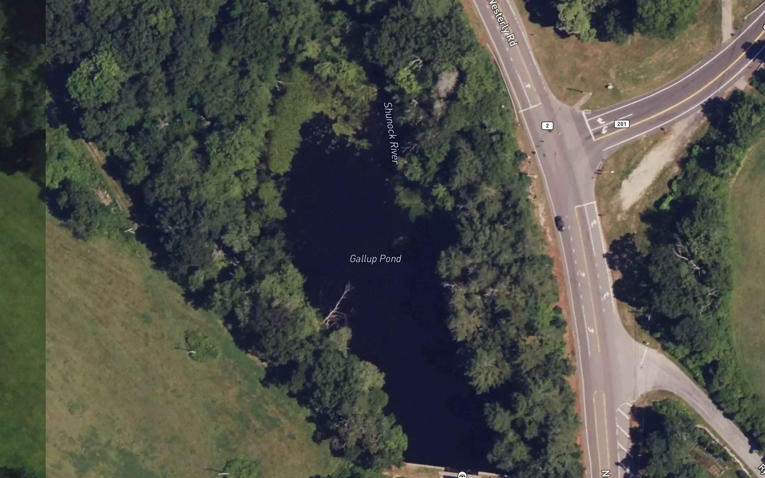 Gallup Pond