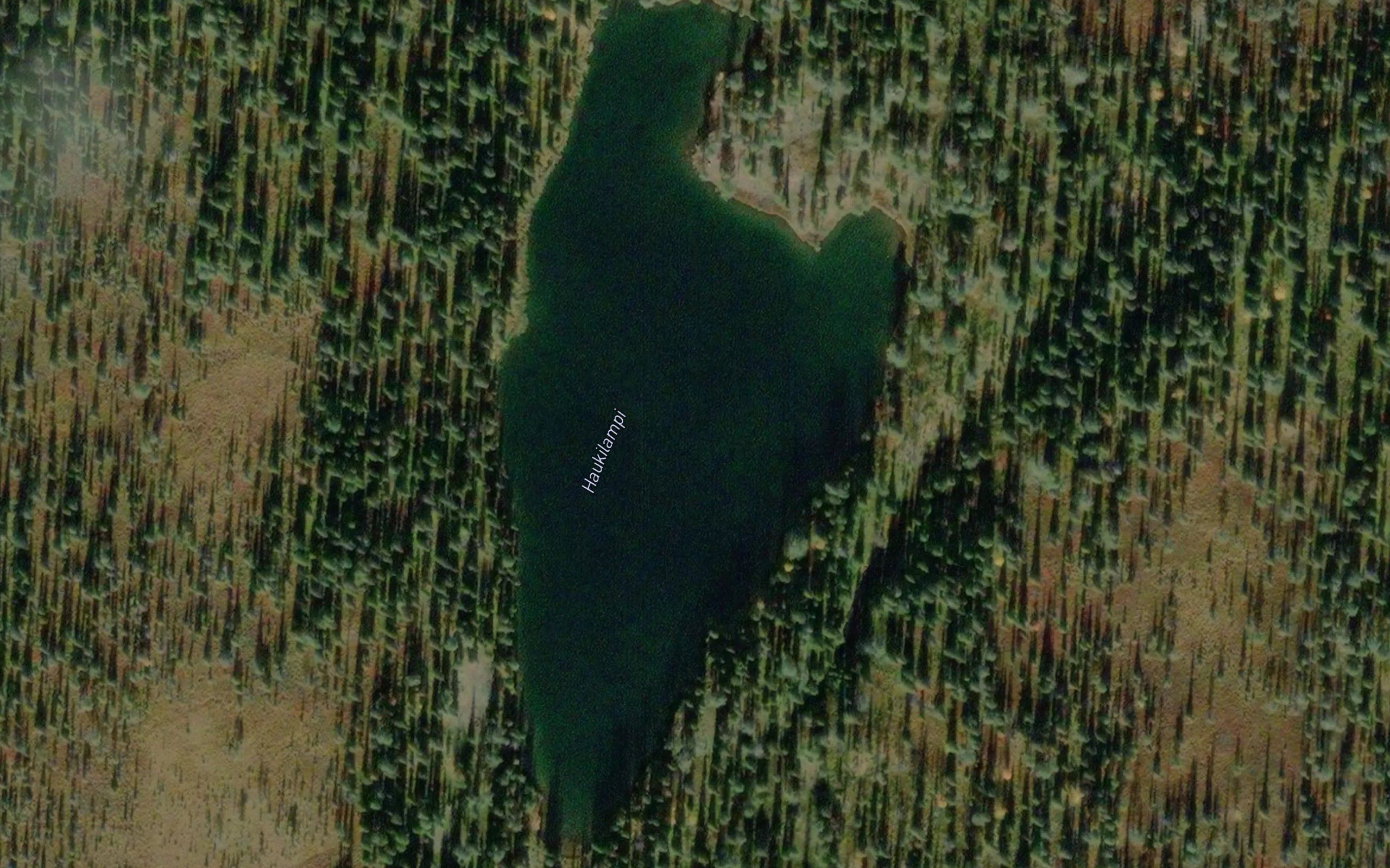Haukilampi