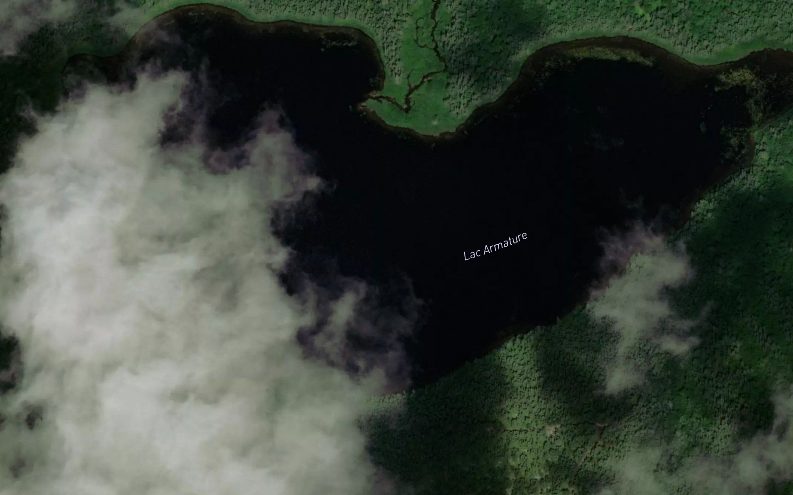 Lac Armature