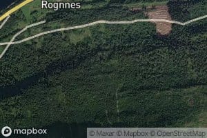 Rogneselva