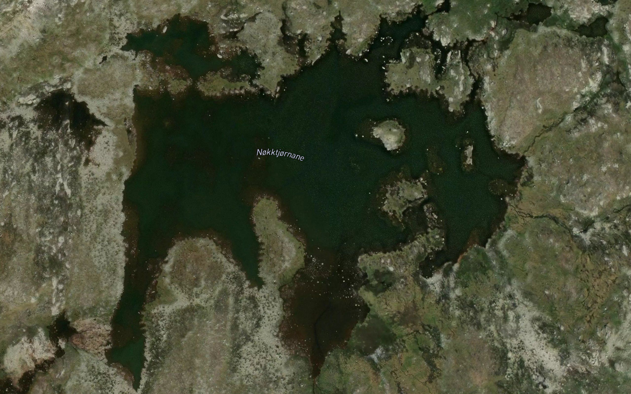Nykktjornane
