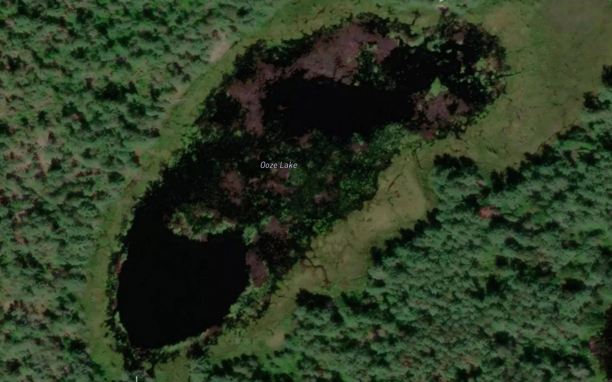 Ooze Lake