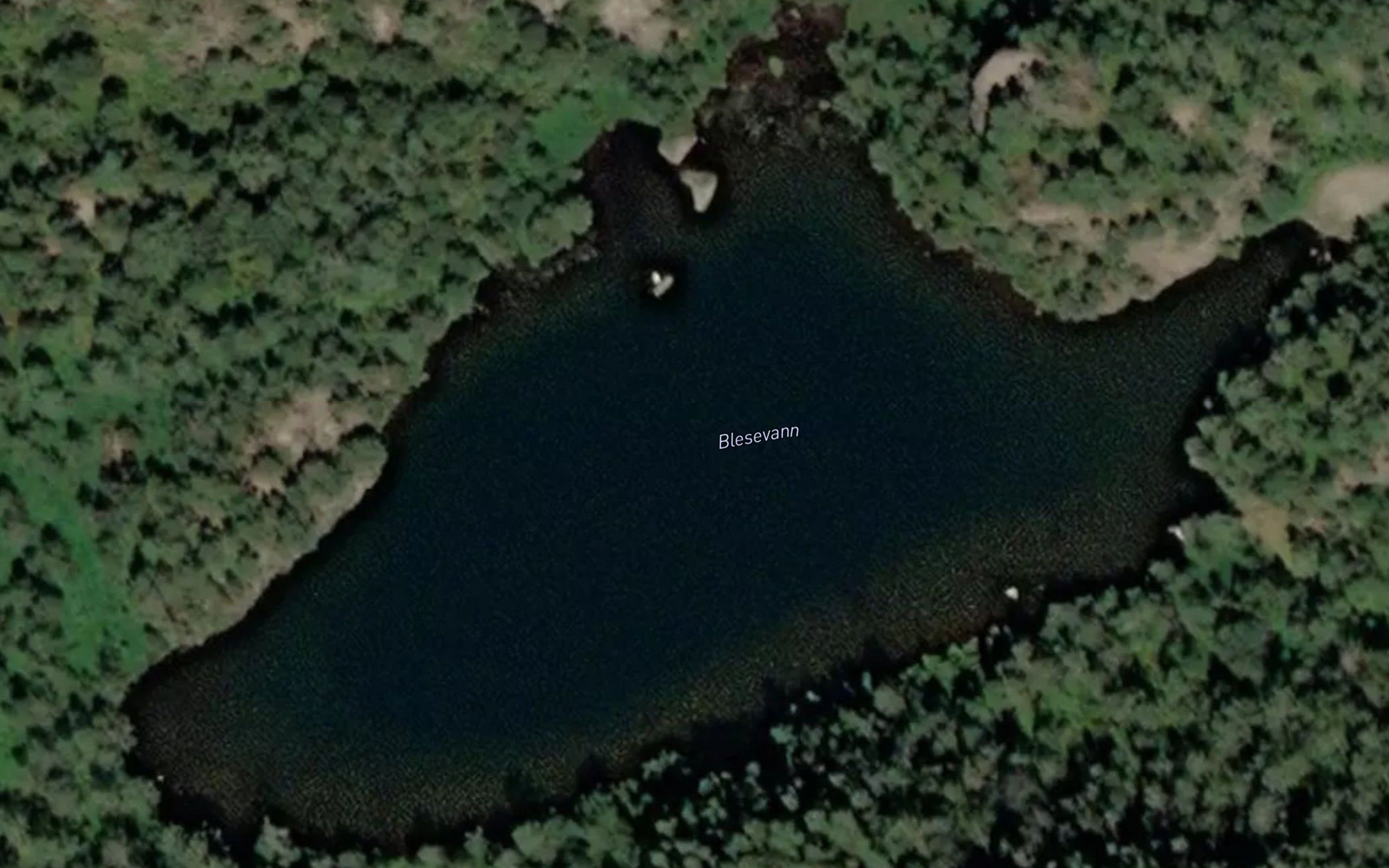 Blesevann