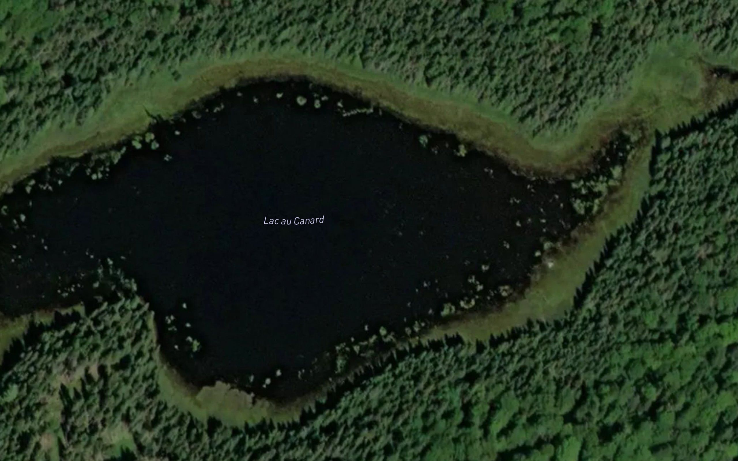 Lac au Canard