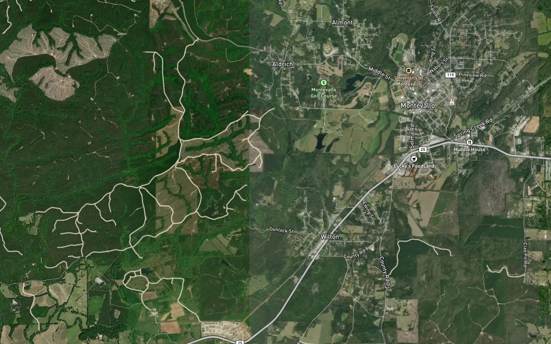 Satellite map of the Black Branch