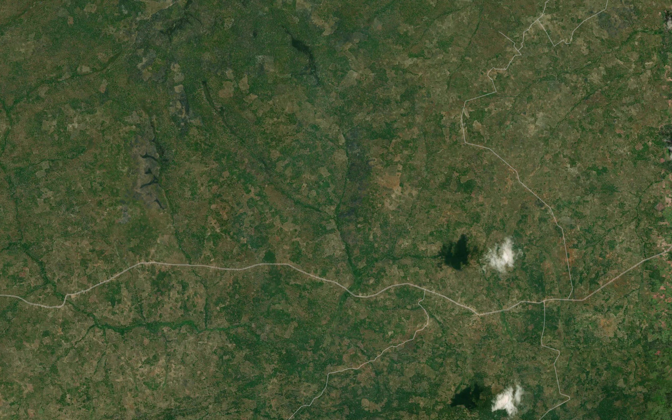 Massecuane