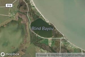 Blind Bayou