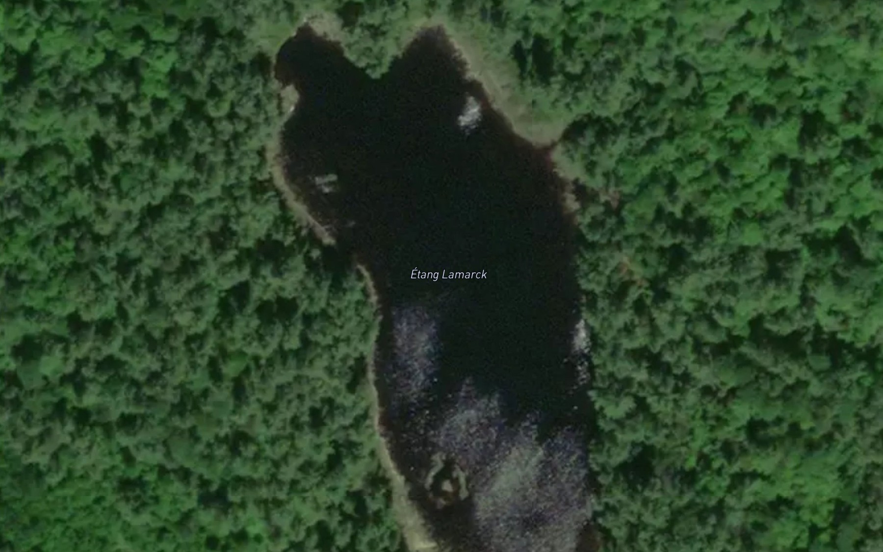 Satellite map of the Lac Lamarck