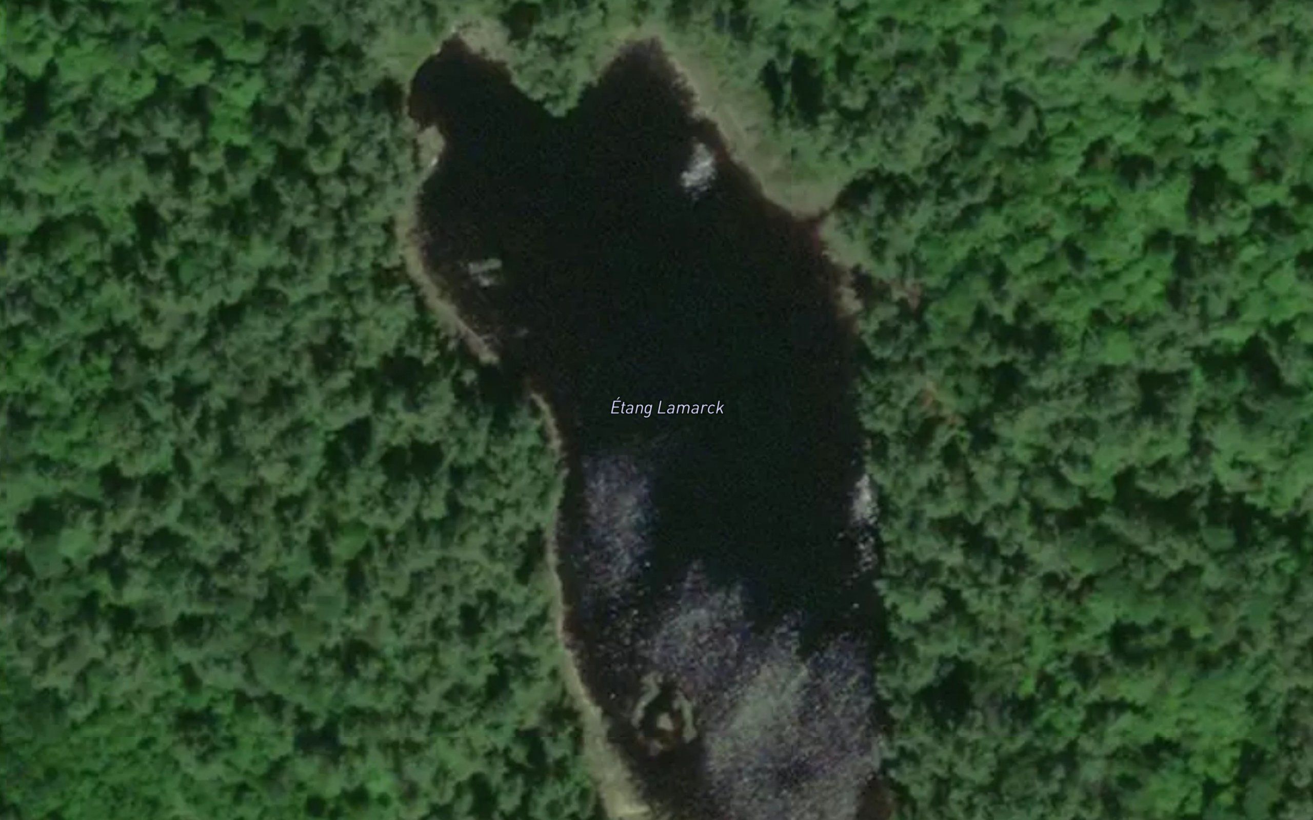 Lac Lamarck