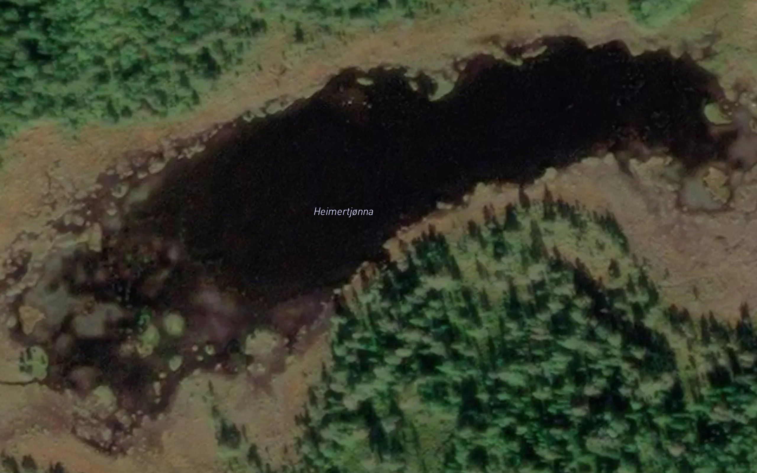 Heimertjonna